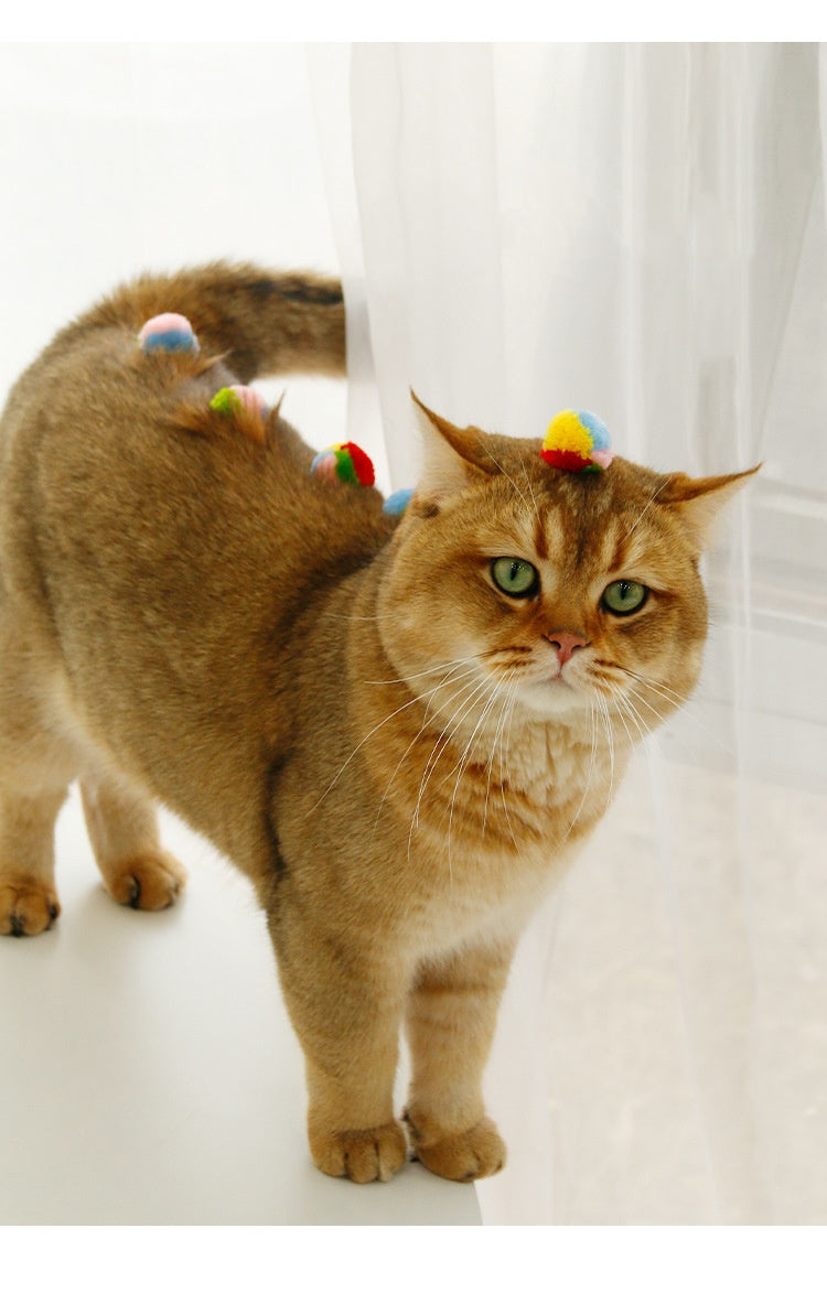 Rainbow Pom-Pom Joy