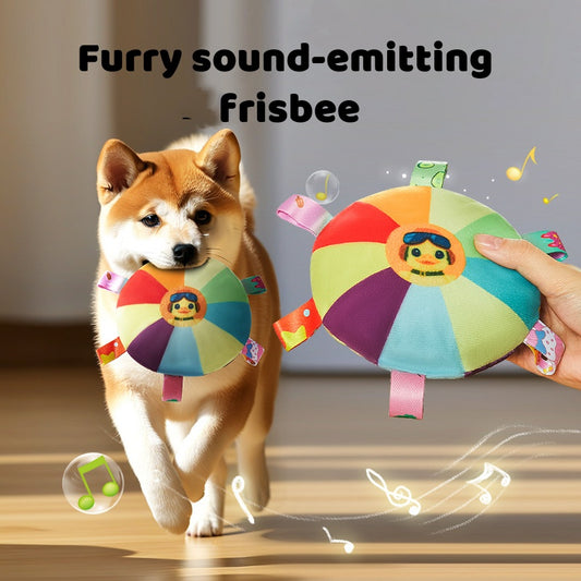 Rainbow Squeaky Frisbee