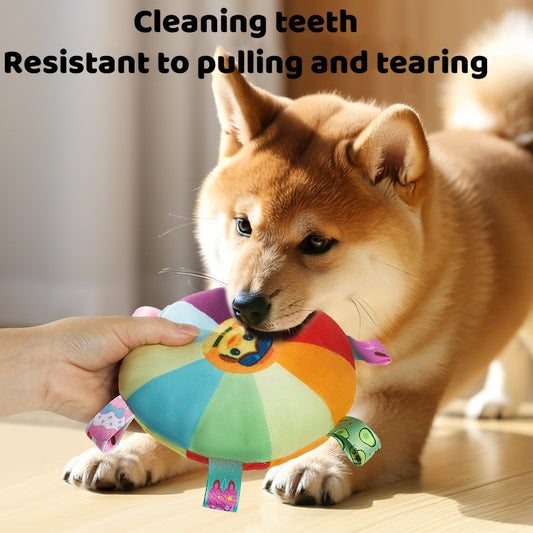 Rainbow Squeaky Frisbee