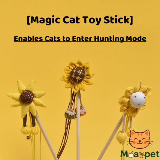 Sunny Bloom Cat Wand