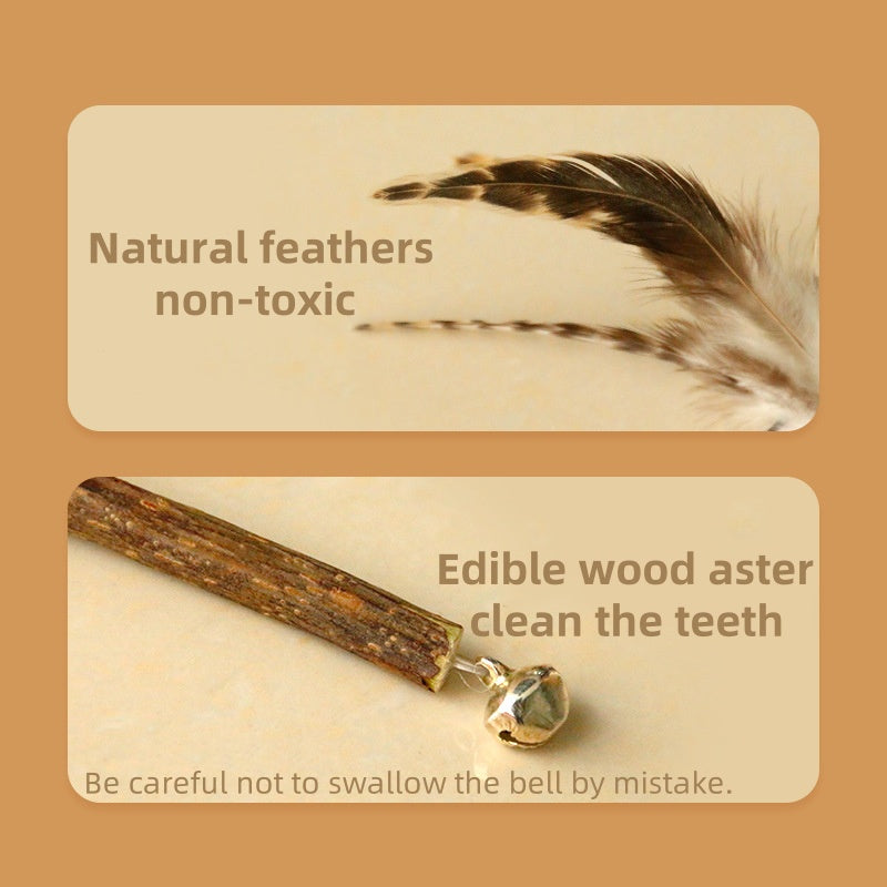 Big Beak Feather Chew Stick